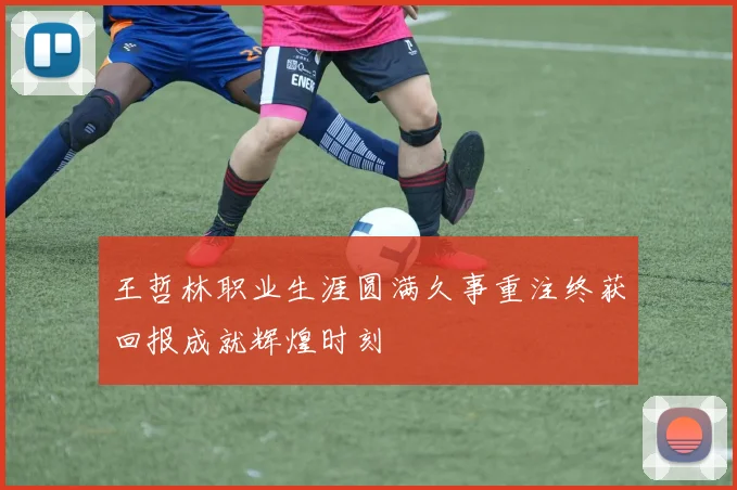 王哲林职业生涯圆满久事重注终获回报成就辉煌时刻