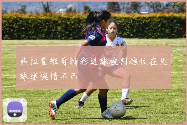 弗拉霍维奇精彩进球被判越位在先球迷惋惜不已